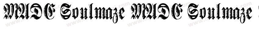 MADE Soulmaze MADE Soulmaze Reg字体转换